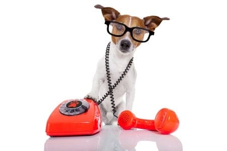 supply chain phone interview tips