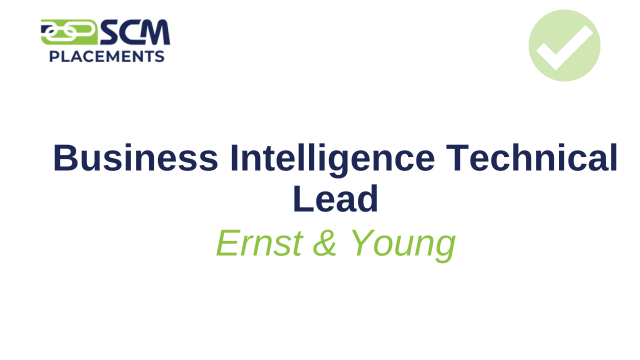 BIT Lead, Ernst & Young